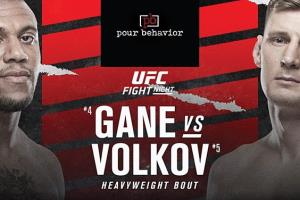 Александр Волков VS Сирил Гейн. Что ждем от субботнего боя?
