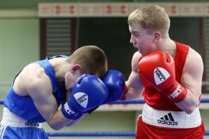 Гомель принимает чемпионат Беларуси по боксу