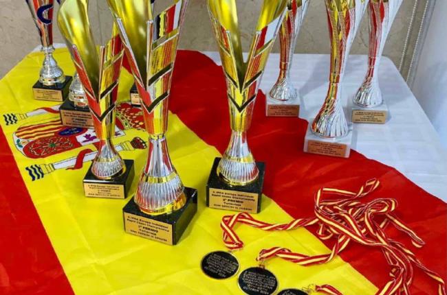 Михаил Денисеня завоевал две медали на индивидуальном чемпионате Европы IPCA по шахматам среди инвалидов