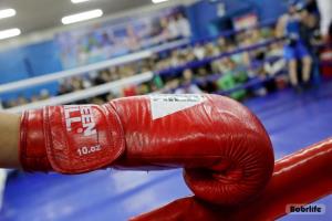 Определены чемпионы Беларуси по боксу