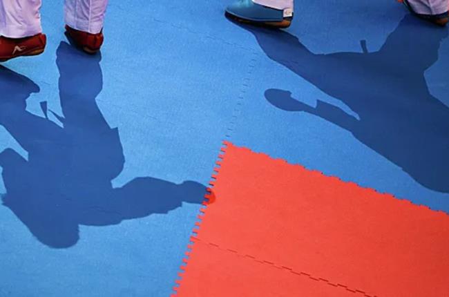 Восемь белорусских каратистов примут участие на чемпионате мира в Венгрии